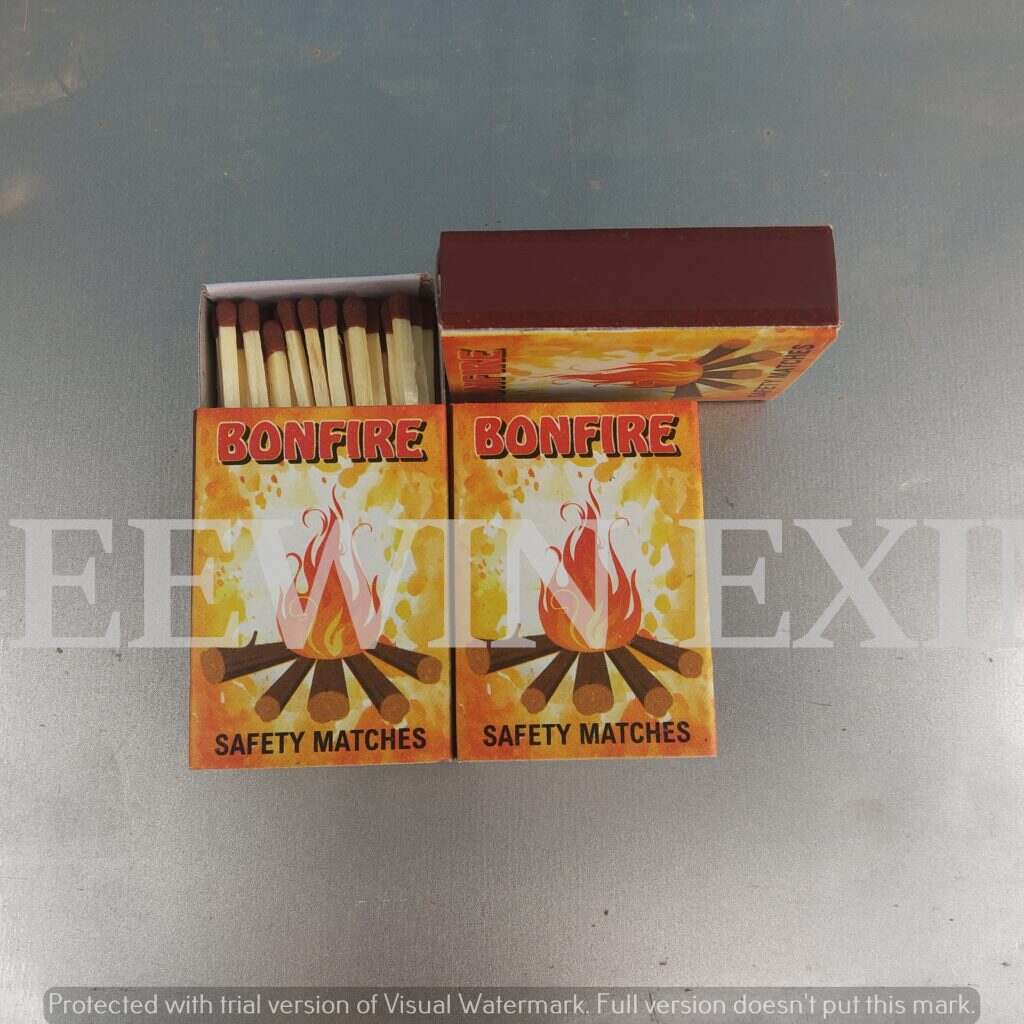 famous matchbox company in india