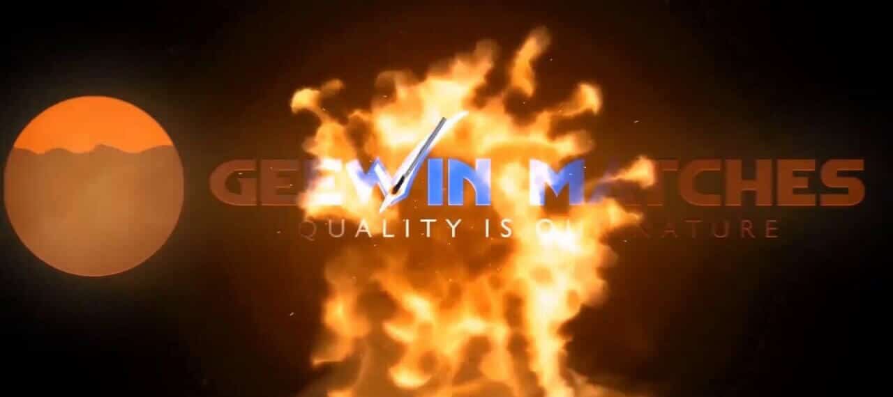 geewin-video-new