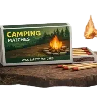 campaing_match